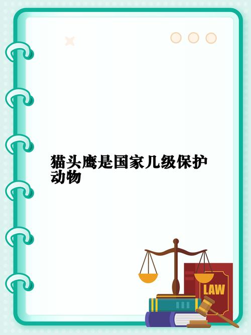 今日科普一下！猫头鹰的哭泣,百科词条爱好_2024最新更新